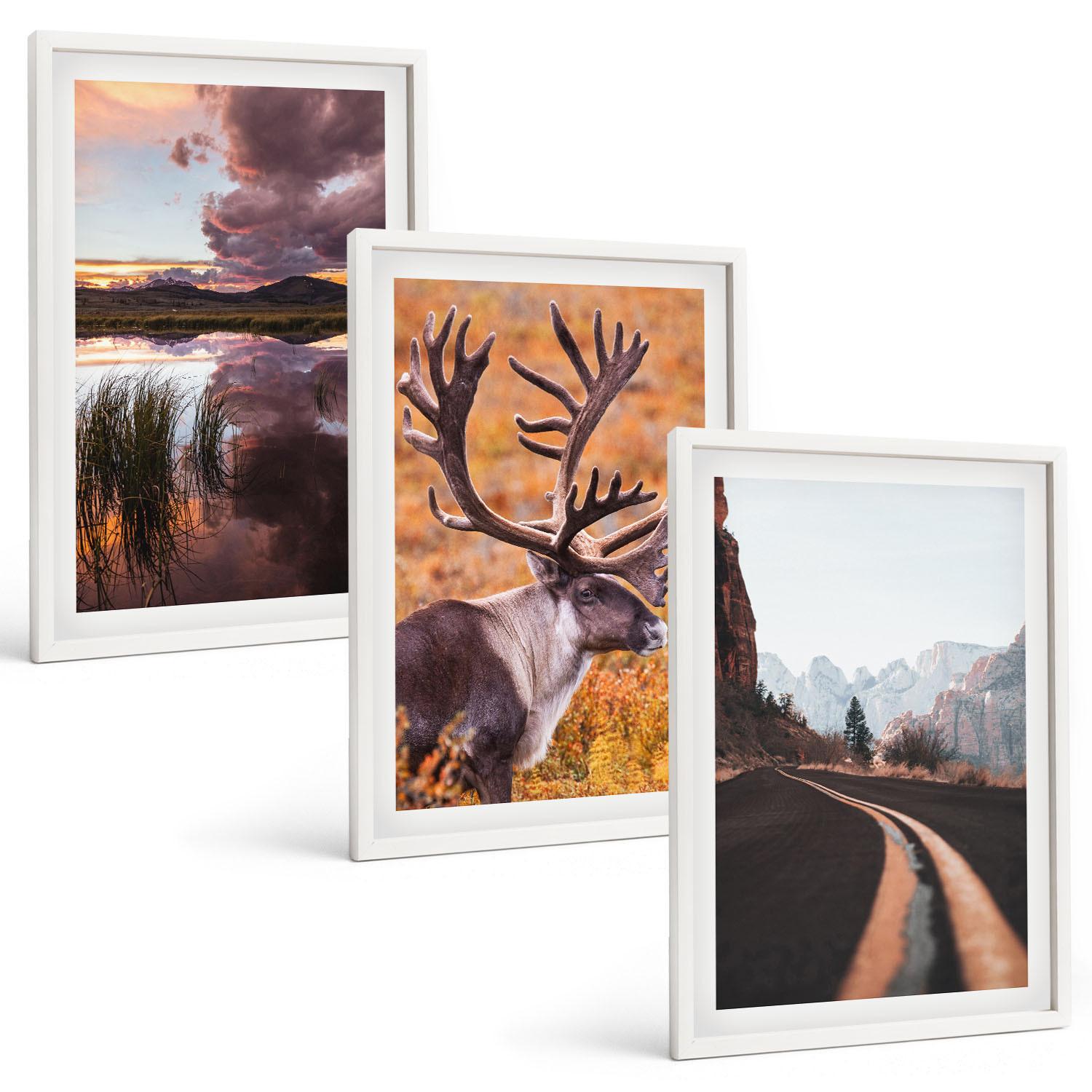 BILDER SET 3er Set - 40x60 cm Weißer Rahmen - Berglandschaften mit Rentieren - Weiß, Kunststoff (40/60cm) - TULUP