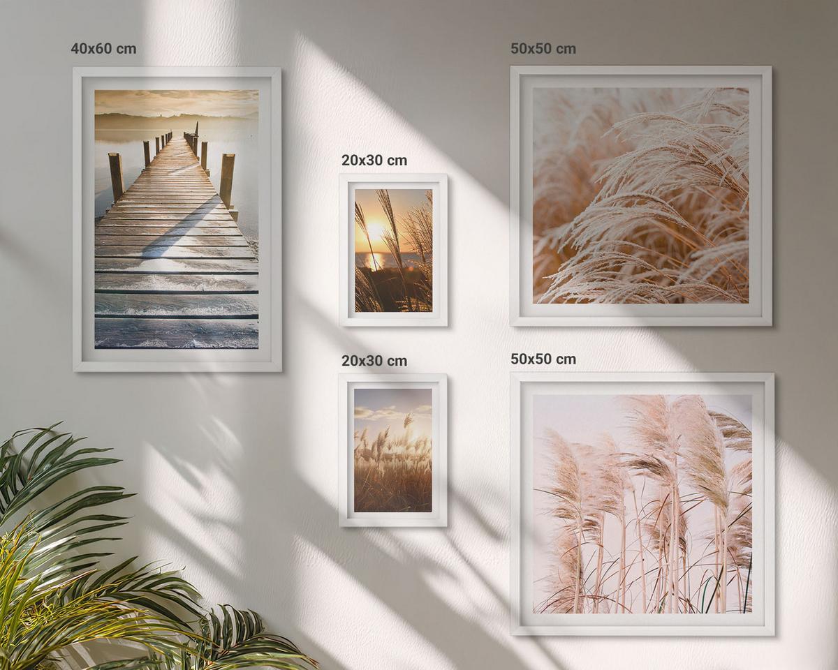 BILDER SET 5er Set - 50x50 cm & 20x30 cm & 40x60 cm Weißer Rahmen - Boho-Grasfeld-Sonnenuntergang - Weiß, Kunststoff (40/60cm) - TULUP