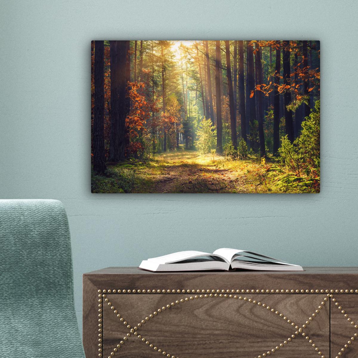 LEINWANDBILD Wald - Herbst - Bäume Deko Schlafzimmer 30x20 cm - Dunkelgrün, Textil (30/20cm) - MuchoWow