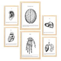 POSTER Set Mit 6 Belies Sammlung A3 & A4 Rahmen Aus Hellem Holz - Beige, Papier (29/3cm) - Nacnic