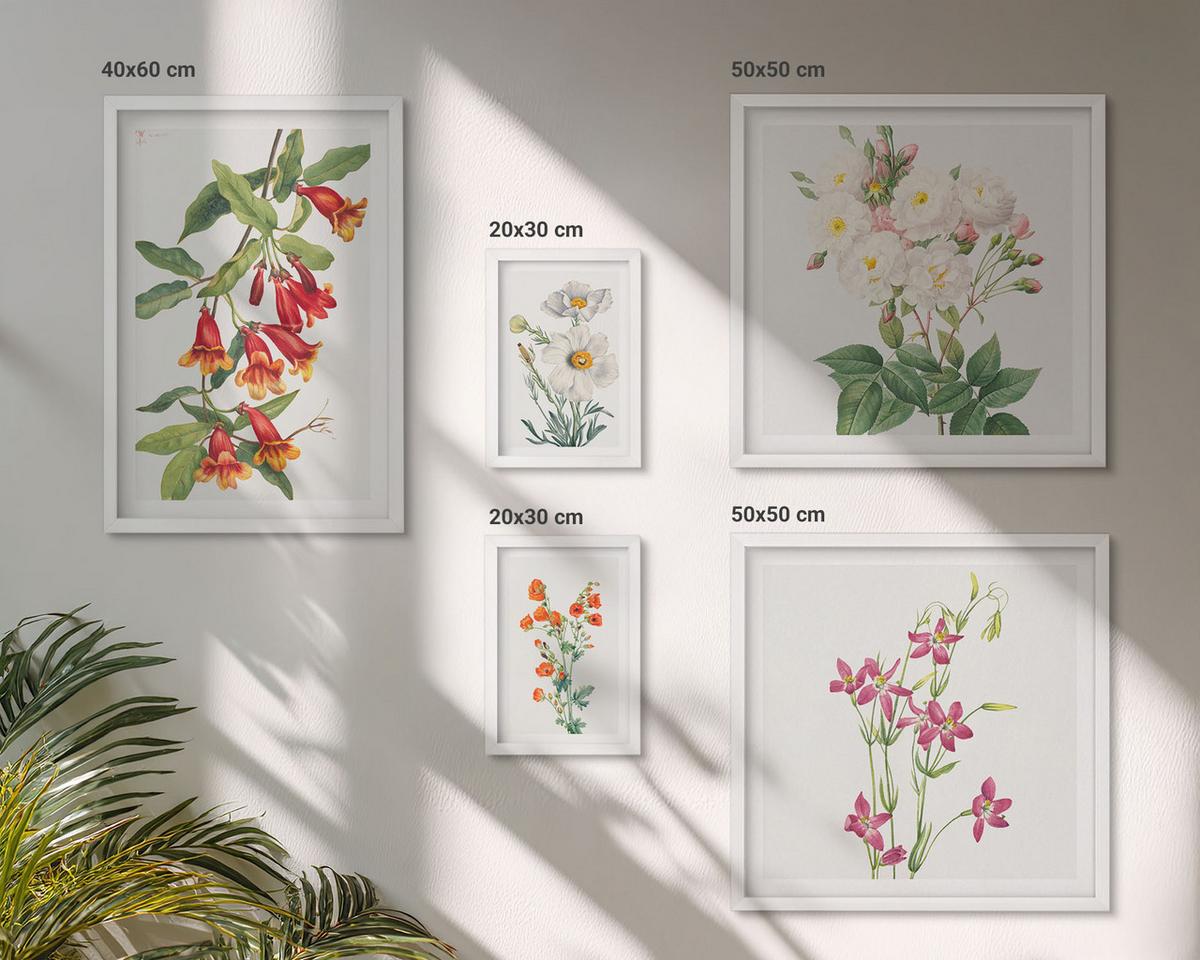 BILDER SET 5er Set - 50x50 cm & 20x30 cm & 40x60 cm Weißer Rahmen - Retro-Blumenmalerei - Weiß, Kunststoff (40/60cm) - TULUP