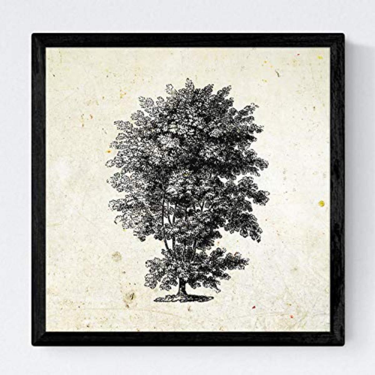 POSTER Set mit 4 Blättern der Hohe Bäume in der 20x20cm Schwarzer Rahmen - Schwarz, Papier (20/3cm) - Nacnic