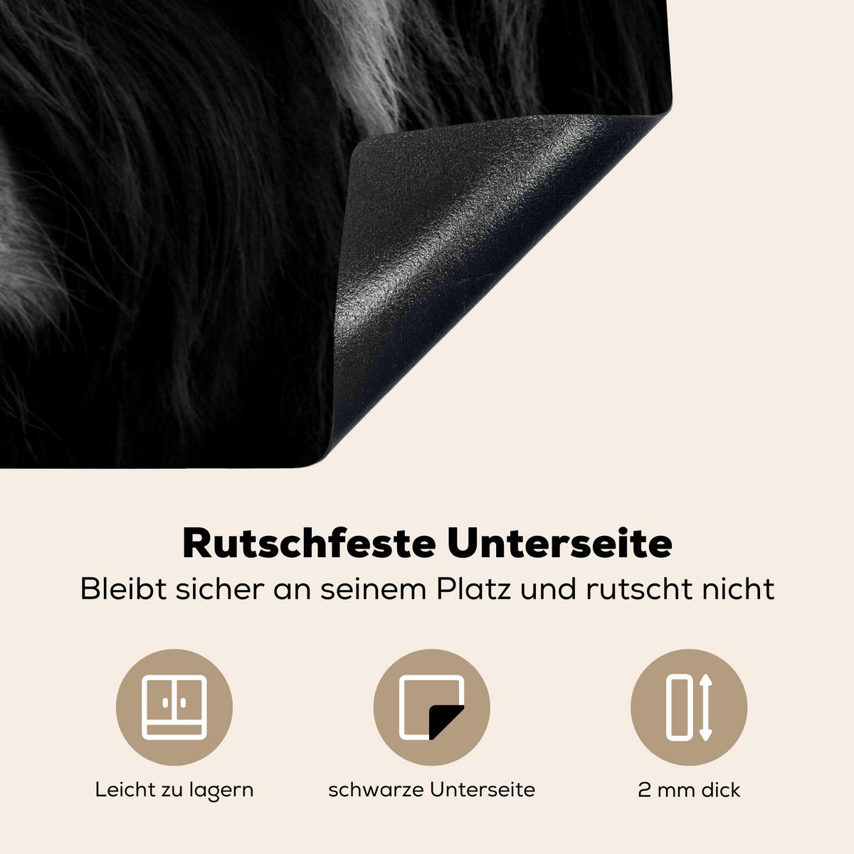 HERDABDECKPLATTE Schottischer Highlander - Kuh - Schwarz - Weiß - Tiere Induktionsmatte 77x51 cm - Schwarz, Kunststoff (77/51/0.2cm) - MuchoWow
