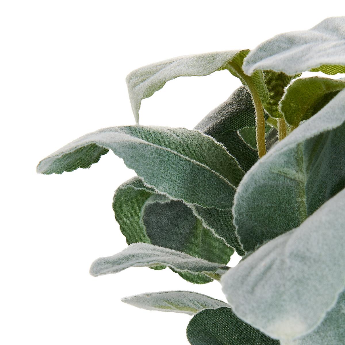 KÜNSTLICHE Topfpflanze 30 cm Grün/Schwarz Peperomia Argyreia - Schwarz/Grün, Kunststoff (30cm) - Beliani