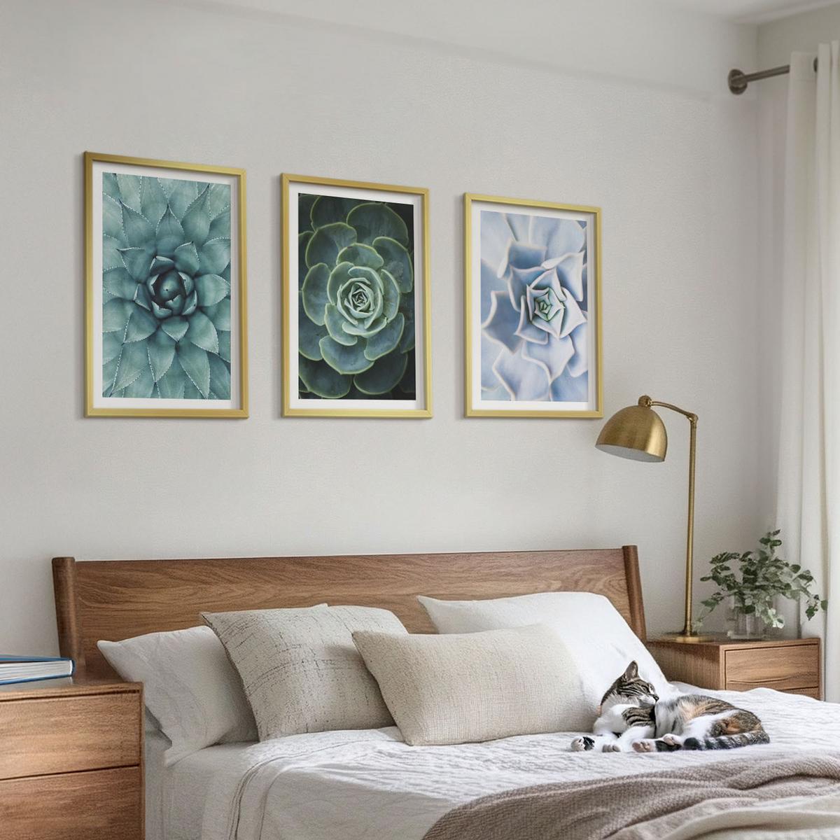 BILDER SET 3er Set - 40x60 cm Goldrahmen - Sukkulente Pflanzen grün türkis - Goldfarben, Kunststoff (40/60cm) - TULUP