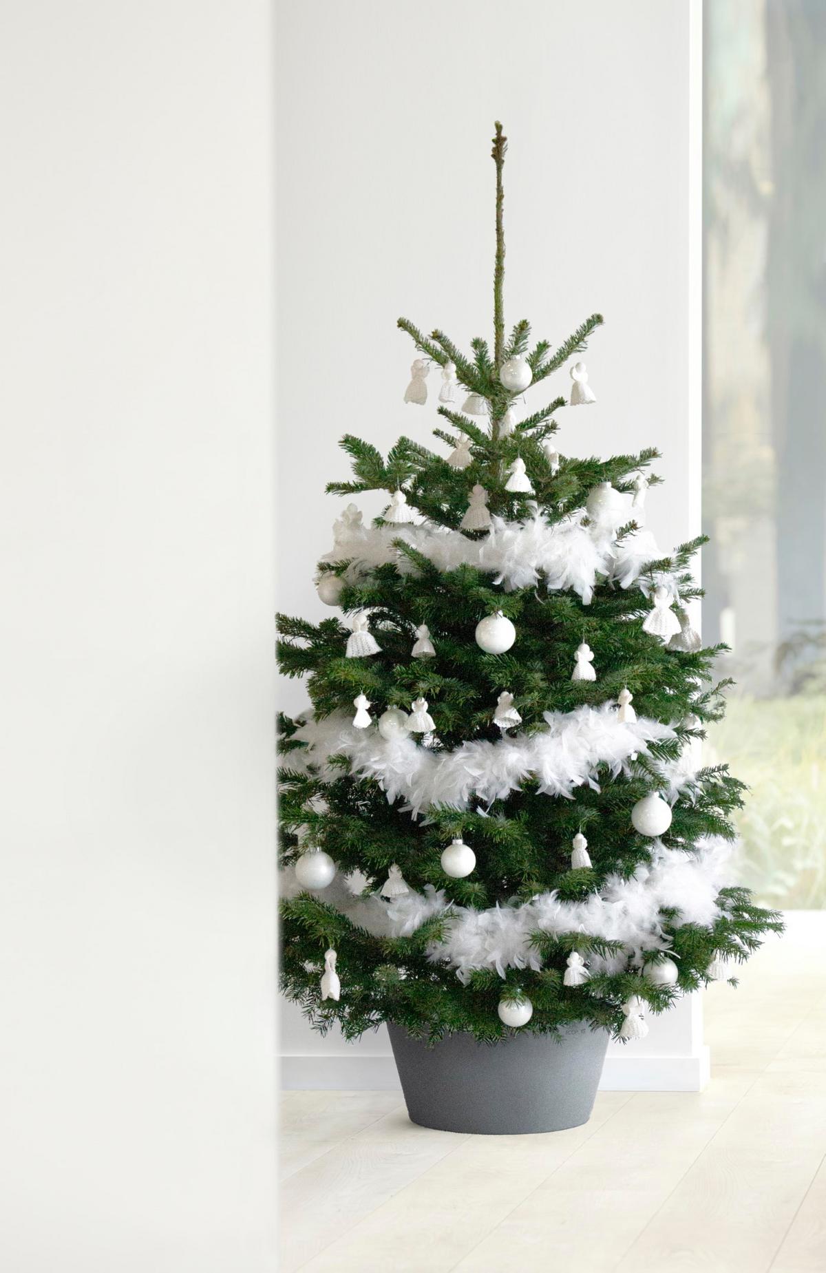 PFLANZENSTÄNDER Weihnachtsbaumständer 53/24 cm Grau - Grau, Kunststoff (53/24cm) - Ecopots