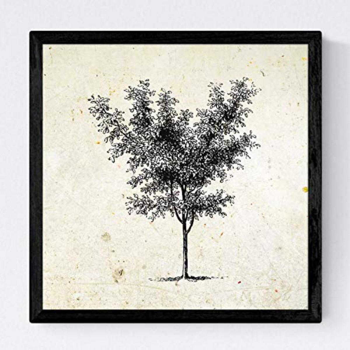 POSTER Set mit 4 Blättern der Bäume mittlerer, Jahrgang Hintergrund 20x20cm Schwarzer Rahmen - Schwarz, Papier (20/3cm) - Nacnic