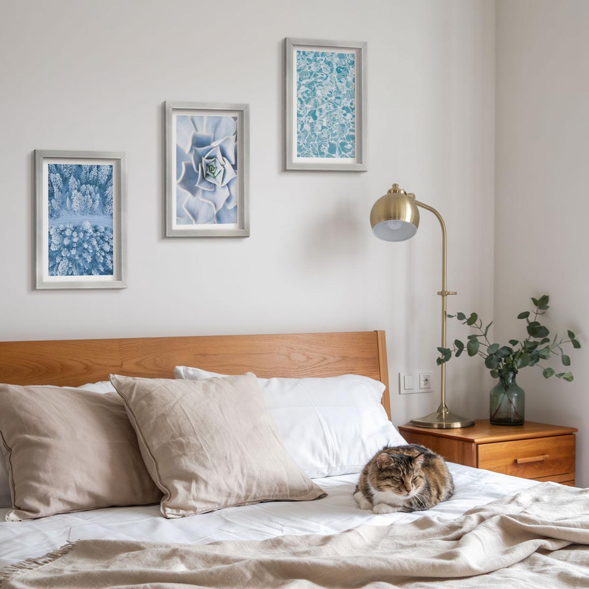 BILDER SET 3er Set - 20x30 cm Silberner Rahmen - Winterwald blaue Blume Wasser - Silberfarben, Kunststoff (20/30cm) - TULUP