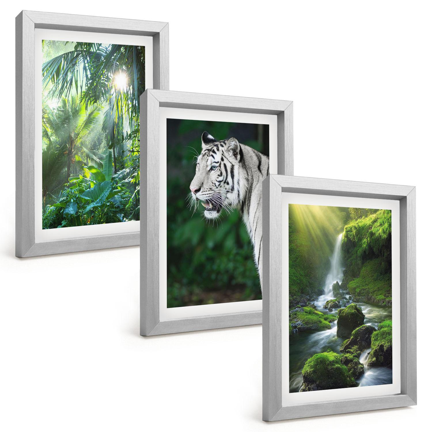 BILDER SET 3er Set - 20x30 cm Silberner Rahmen - Dschungeltigerwasserfall - Silberfarben, Kunststoff (20/30cm) - TULUP