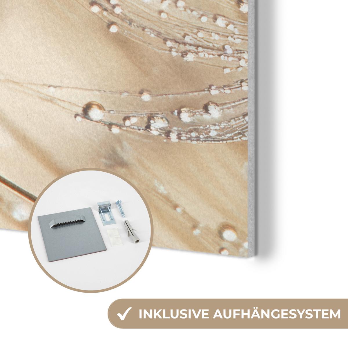 AKUSTIKBILD Löwenzahn - Abstrakt - Natur - Beige Wanddeko 60x90 cm - Braun, Kunststoff (60/90/0.9cm) - MuchoWow