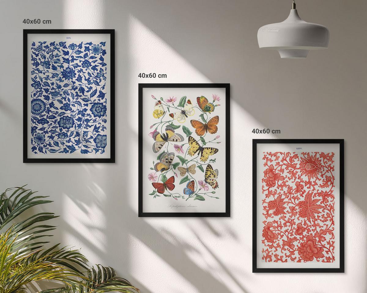 BILDER SET 3er Set - 40x60 cm Schwarzer Rahmen - Vintage-Blumen-Schmetterlings-Ornamente - Schwarz, Kunststoff (40/60cm) - TULUP