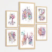 POSTER Set aus 6 Anatomie Mensch Florale Aquarell Drucke und mit Gehirn Lungen Skelett Nieren und Organen Botanische Größe Leichter Holzrahmen A3 & A4 - Beige, Papier (29.7/42/3cm) - Nacnic