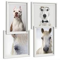 BILDER SET 4er Set - 50x50 cm & 40x60 cm Weißer Rahmen - Elegante Porträts von Hunden und Pferden - Weiß, Kunststoff (50/50cm) - TULUP