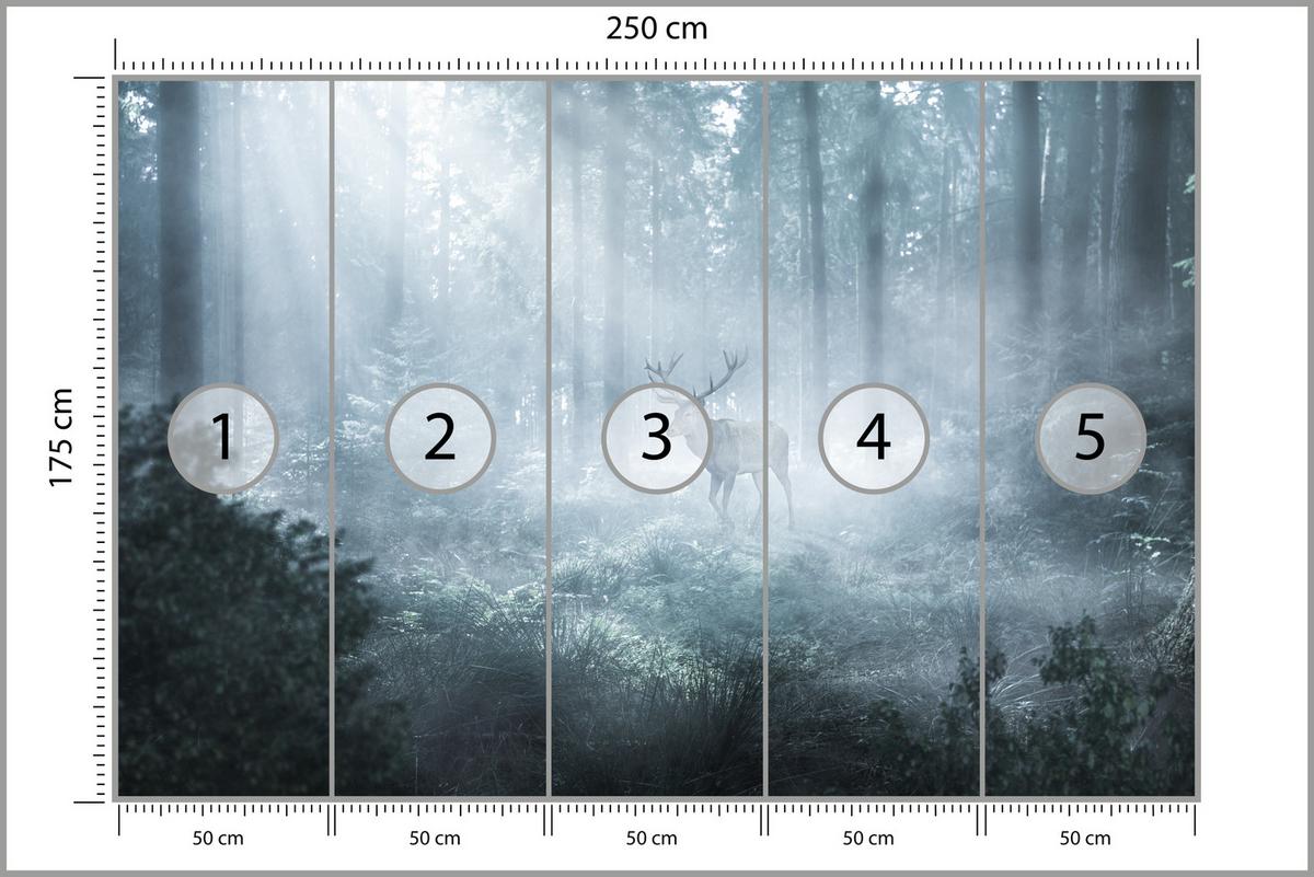 FOTOTAPETE für Wohnzimmer Hirsch Nebelwald Bäume Pflanzen 250x175 - Weiß/Grau, Papier (250/175cm) - Muralo
