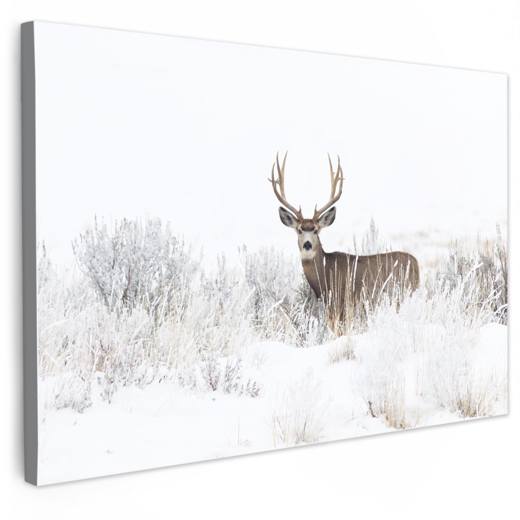 LEINWANDBILD Hirsche - Winter - Schnee - Tiere - Jahreszeiten - Weiß Wanddeko 90x60 cm - Hellbraun, Textil (90/60cm) - MuchoWow