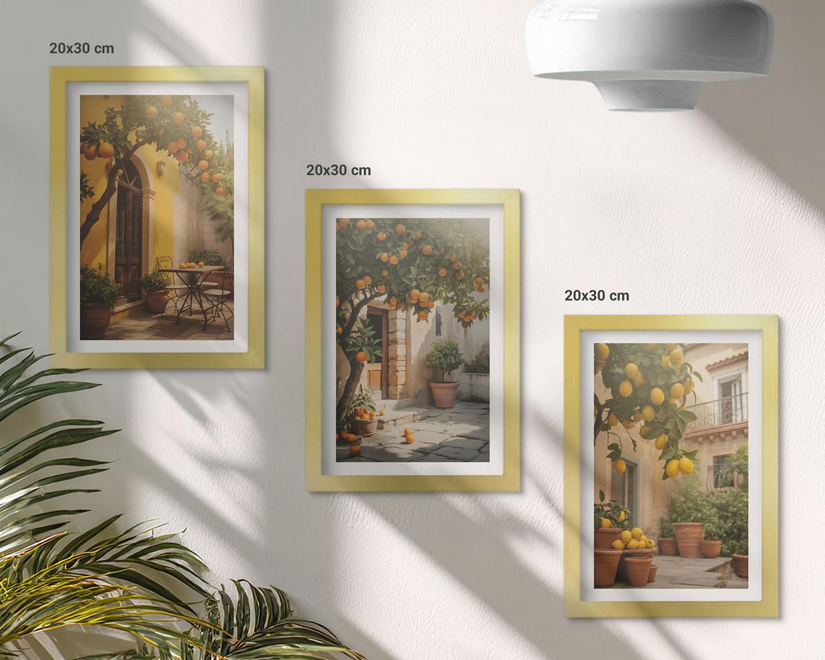 BILDER SET 3er Set - 20x30 cm Goldrahmen - Zitrustöpfe für sonnige Terrassen - Goldfarben, Kunststoff (20/30cm) - TULUP