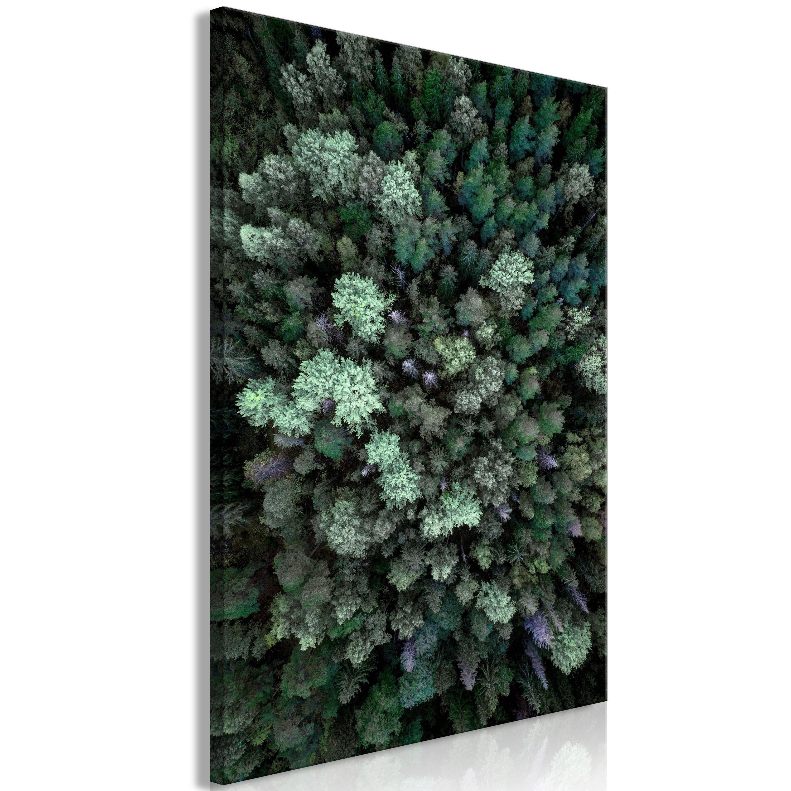 KUNSTDRUCK Grün 40/60 cm - Schwarz/Grün, Textil (40/60cm) - KUNSTLOFT