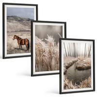 BILDER SET 3er Set - 40x60 cm Schwarzer Rahmen - Pferde, Landschaft, Gras, Bach - Schwarz, Kunststoff (40/60cm) - TULUP