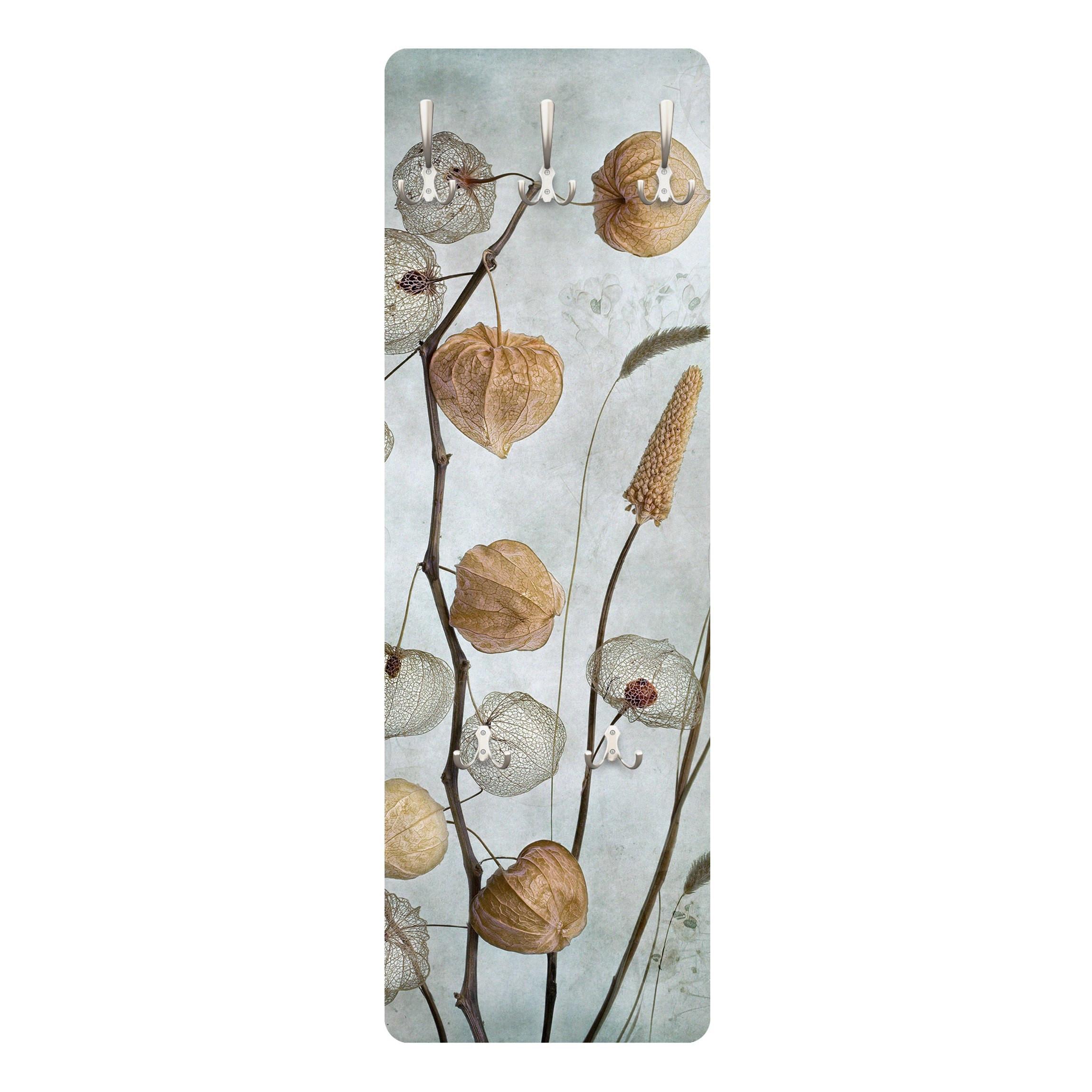 WANDGARDEROBE - Lampionfrüchte im Herbst 34/105 cm - Beige, Holzwerkstoff (34/105/1.6cm) - Bilderwelten