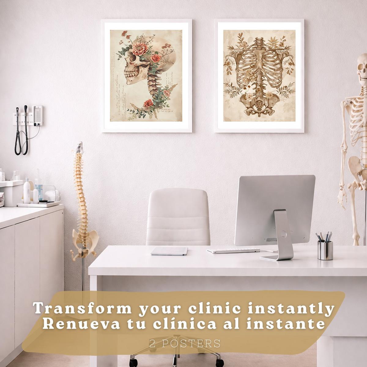 POSTER Set aus 2 Anatomie Mensch Drucke und Wandbilder mit Skelett Schädel Wirbelsäule Rippen Becken Klassischer Stil Größe Weißer Rahmen A4 - Weiß, Papier (21/29.7/3cm) - Nacnic