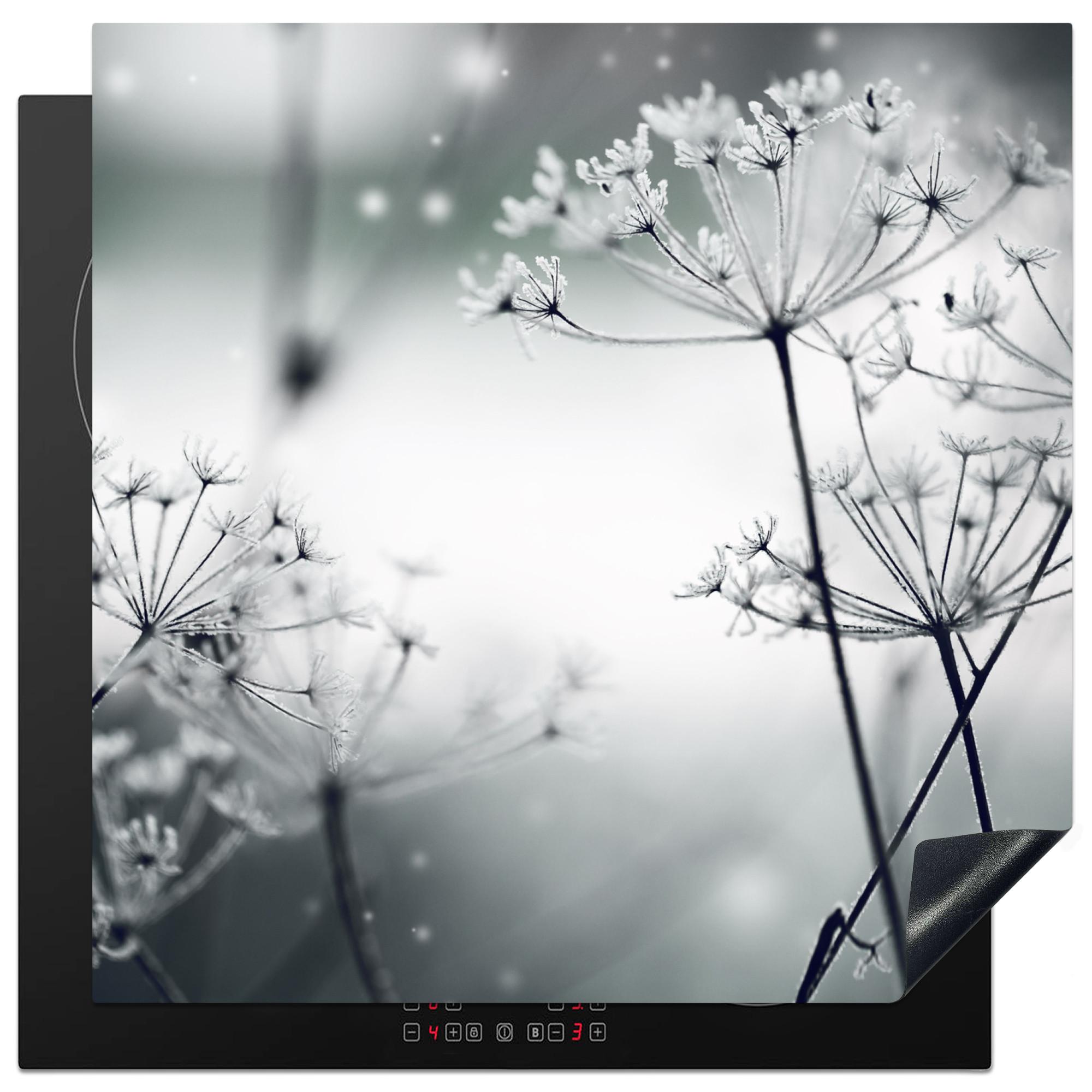 HERDABDECKPLATTE Blumen - Winter - Schnee - Natur Induktionsmatte 78x78 cm - Grau, Kunststoff (78/78/0.2cm) - MuchoWow