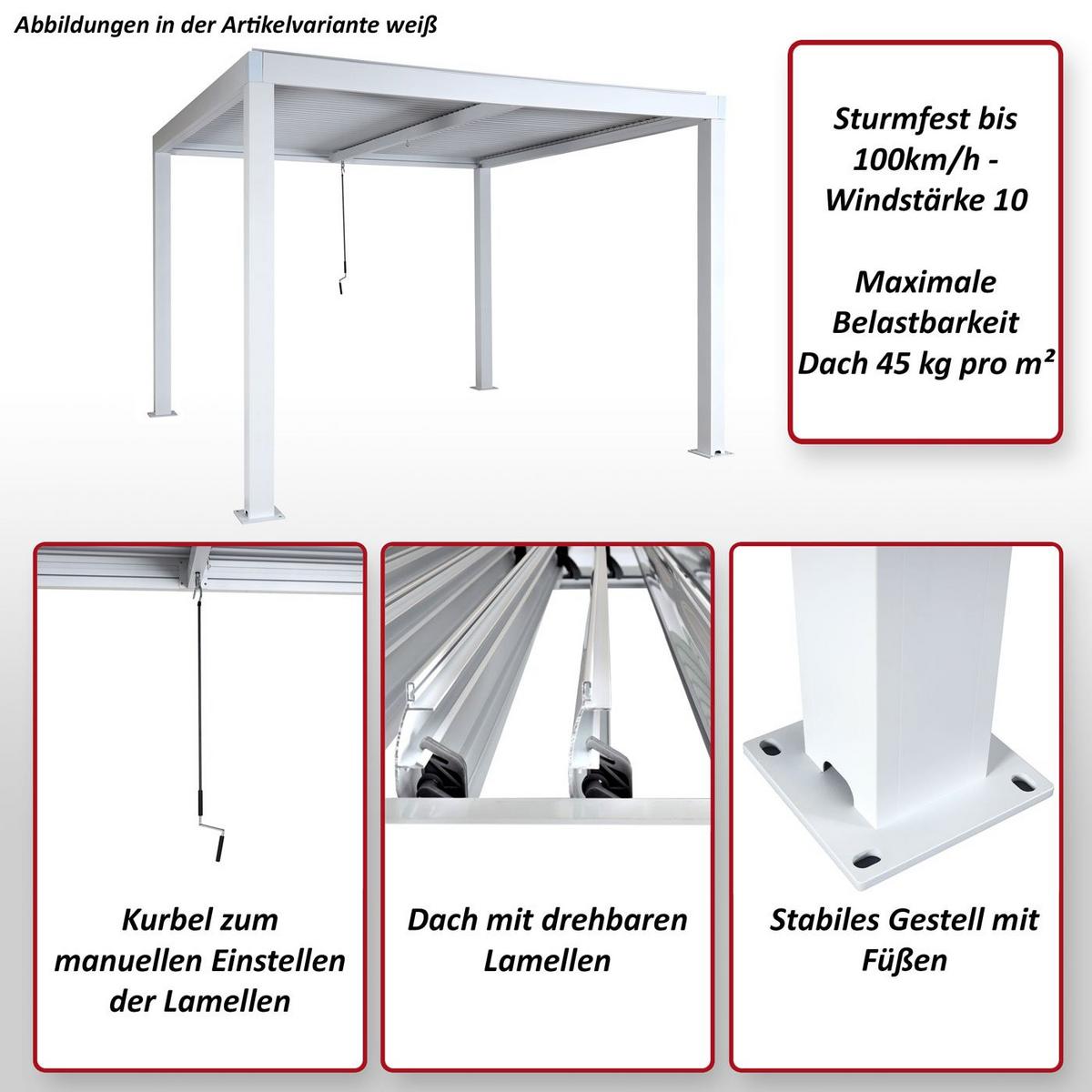 PERGOLA Anthrazit - Anthrazit, Metall (300/220/300cm) - MCW