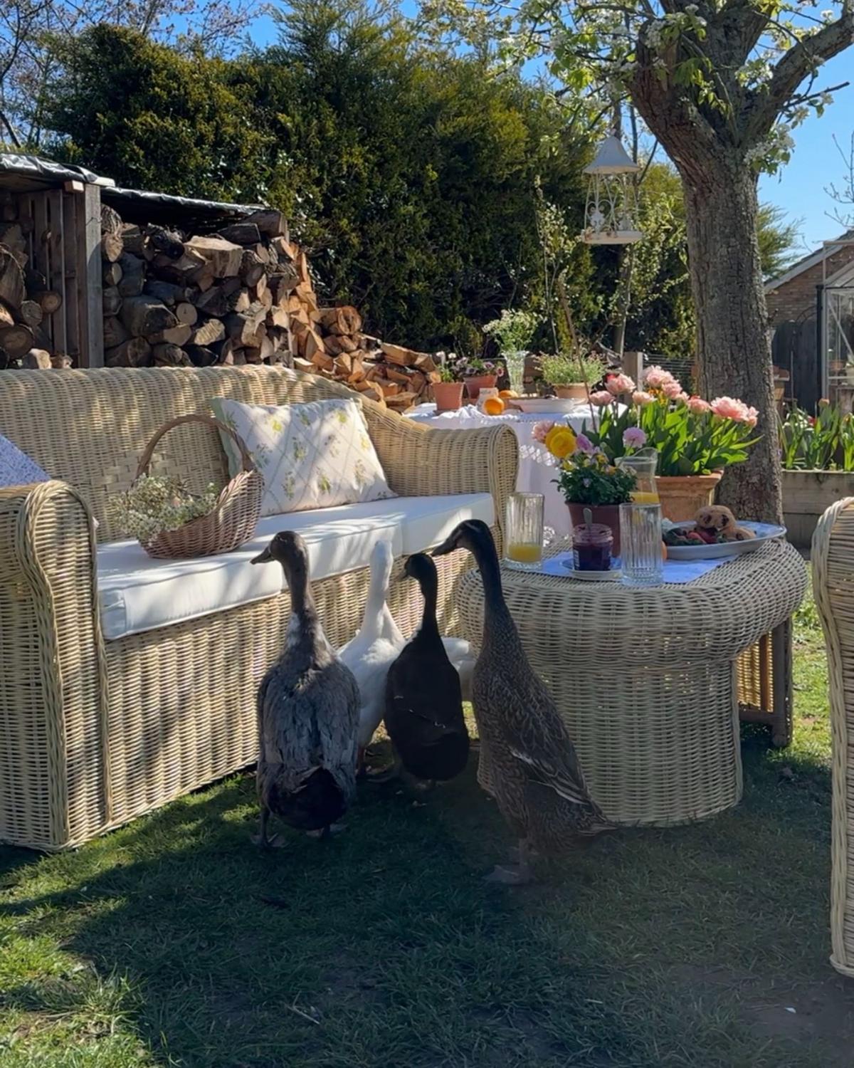 LOUNGE SET 5-Sitzer Rattan naturfarben Auflagen weiß Fracasti - Naturfarben, Naturmaterialen - Beliani