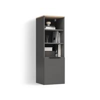 UNIVERSALSCHRANK Piave Anthrazit/Sonoma mit einer Tür - Anthrazit/Sonoma Eiche, Holzwerkstoff (40.2/120/40cm) - Livinity®