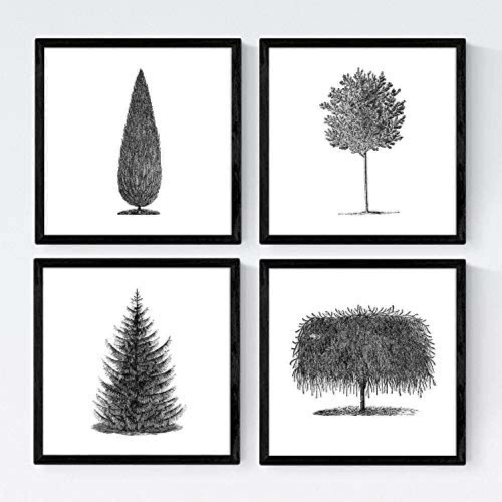 POSTER Set mit 4 Blättern der Bäume in weiß 20x20cm Schwarzer Rahmen - Schwarz, Papier (20/3cm) - Nacnic