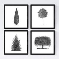 POSTER Set mit 4 Blättern der Bäume in weiß 20x20cm Schwarzer Rahmen - Schwarz, Papier (20/3cm) - Nacnic