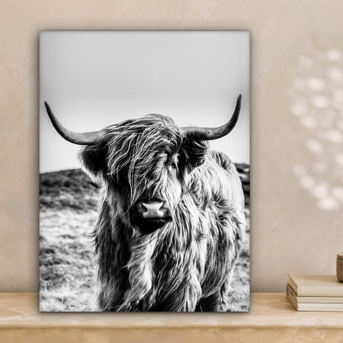 LEINWANDBILD Kuh - Schottischer Hochländer - Schwarz - Weiß - Tier - Natur - Wildtiere Room Decor 30x40 cm - Schwarz, Textil (30/40cm) - MuchoWow