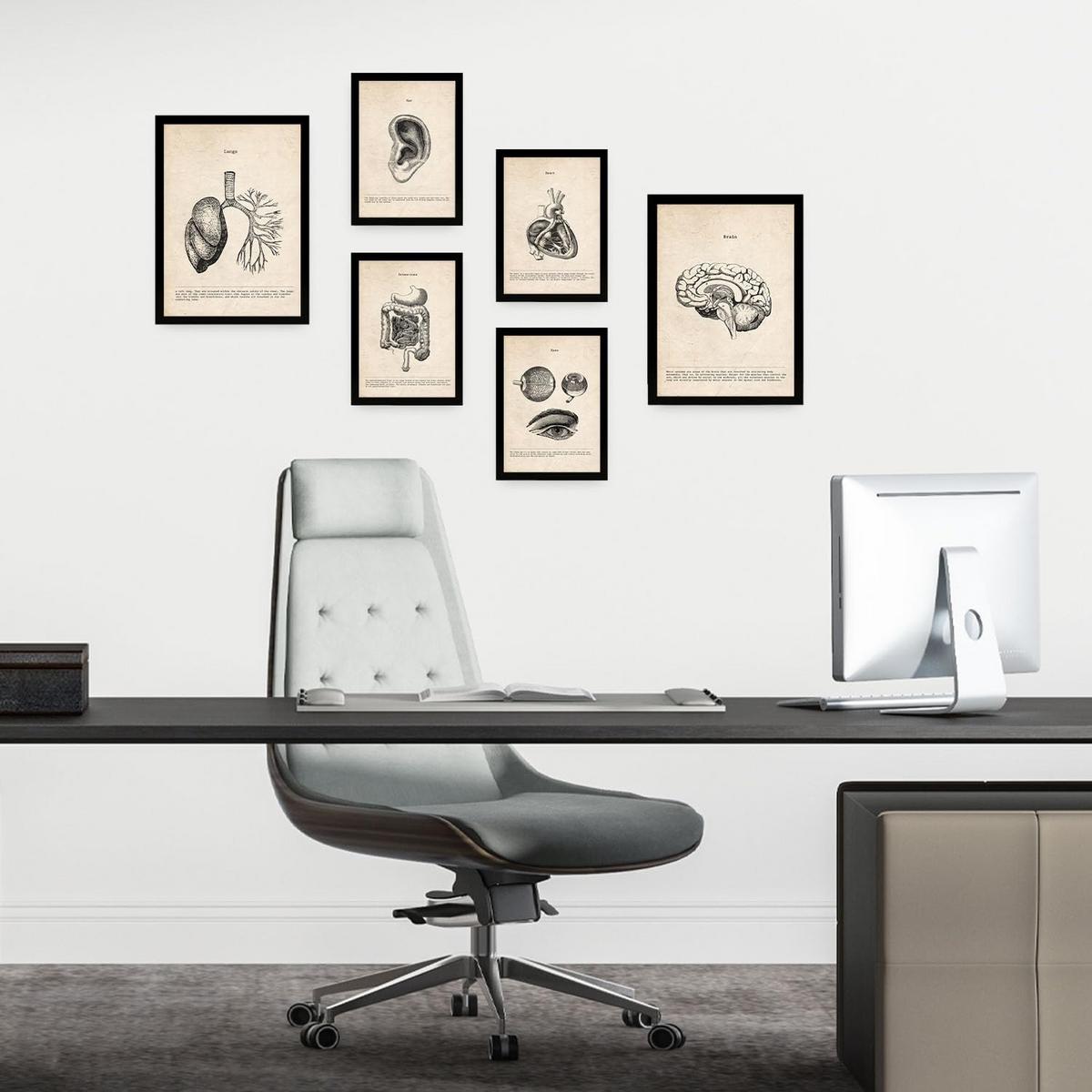 POSTER Set Mit 6 Organe Medizinische Illustrationen Im Vintage Stil Von Anatomie, Körperteilen, Knochen Und Muskeln A3 & A4 Schwarzer Rahmen - Schwarz, Papier (29/3cm) - Nacnic