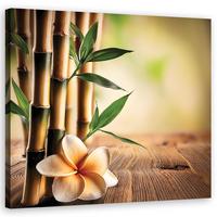 WANDBILD bambus zen blumen - Gelb, Textil (40/40cm) - Feeby