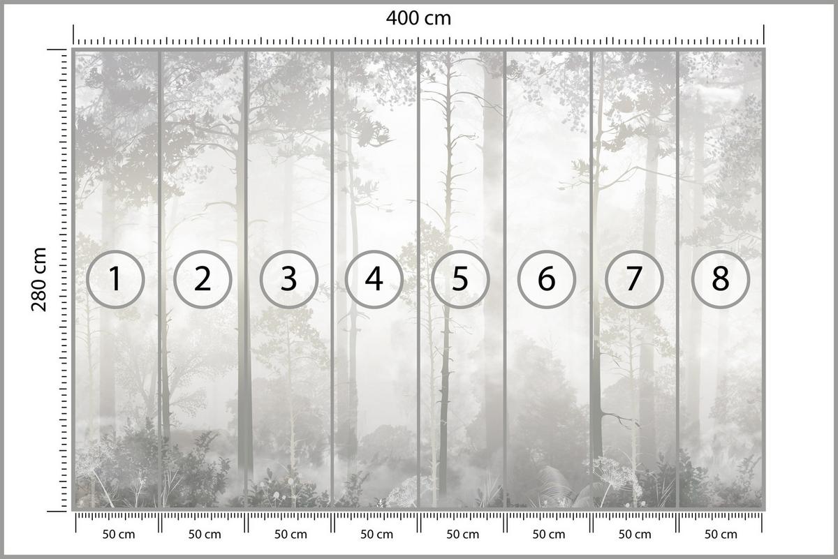FOTOTAPETE für Schlafzimmer Nebliger Wald Bäume Sträucher Mystik 400x280 - Beige/Weiß, Papier (400/280cm) - Muralo