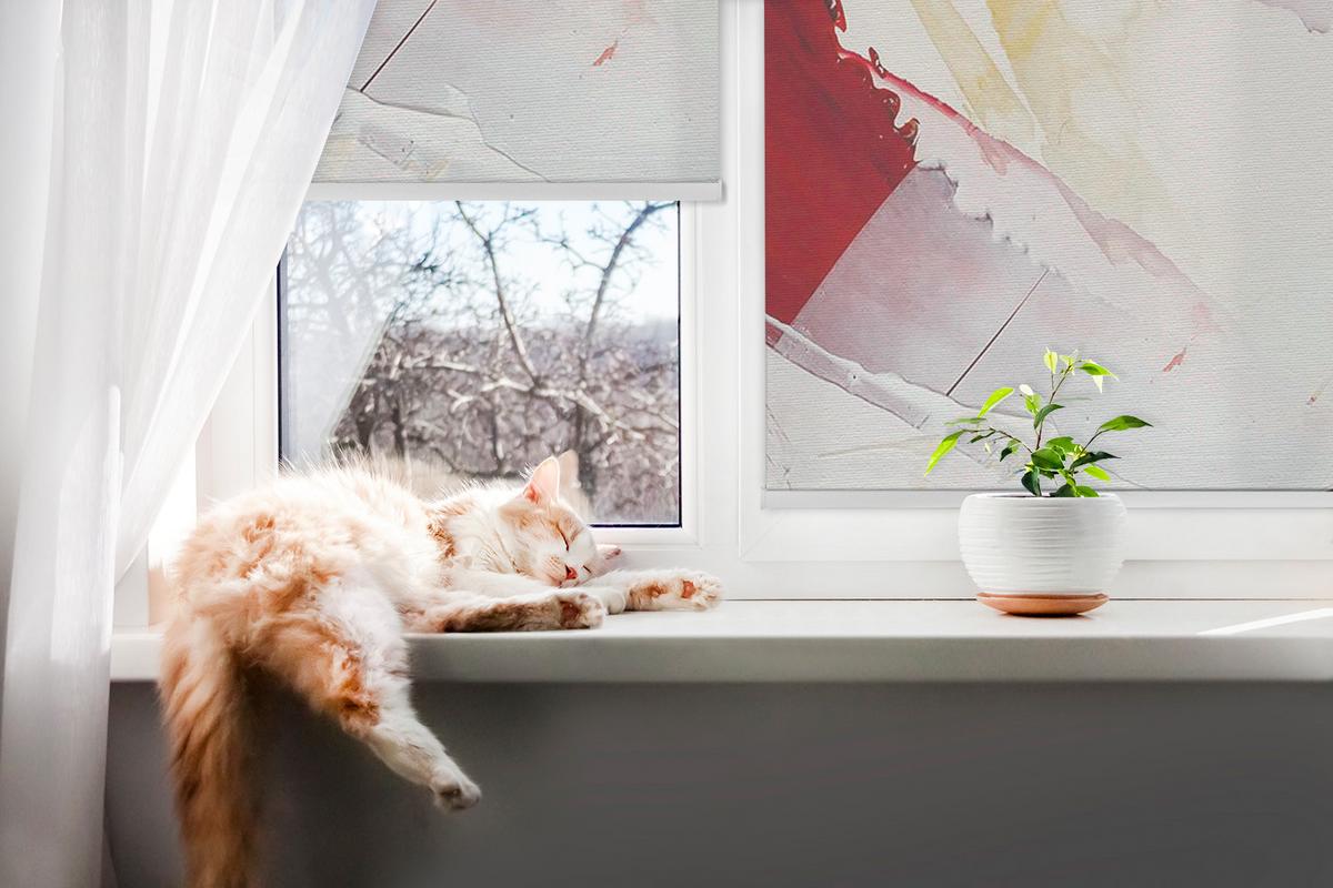 INNENROLLO - Fensterrollo - Rollo - 60x40 cm - Gemaltes Bild - Rot, Kunststoff (60/140/0.5cm) - TULUP