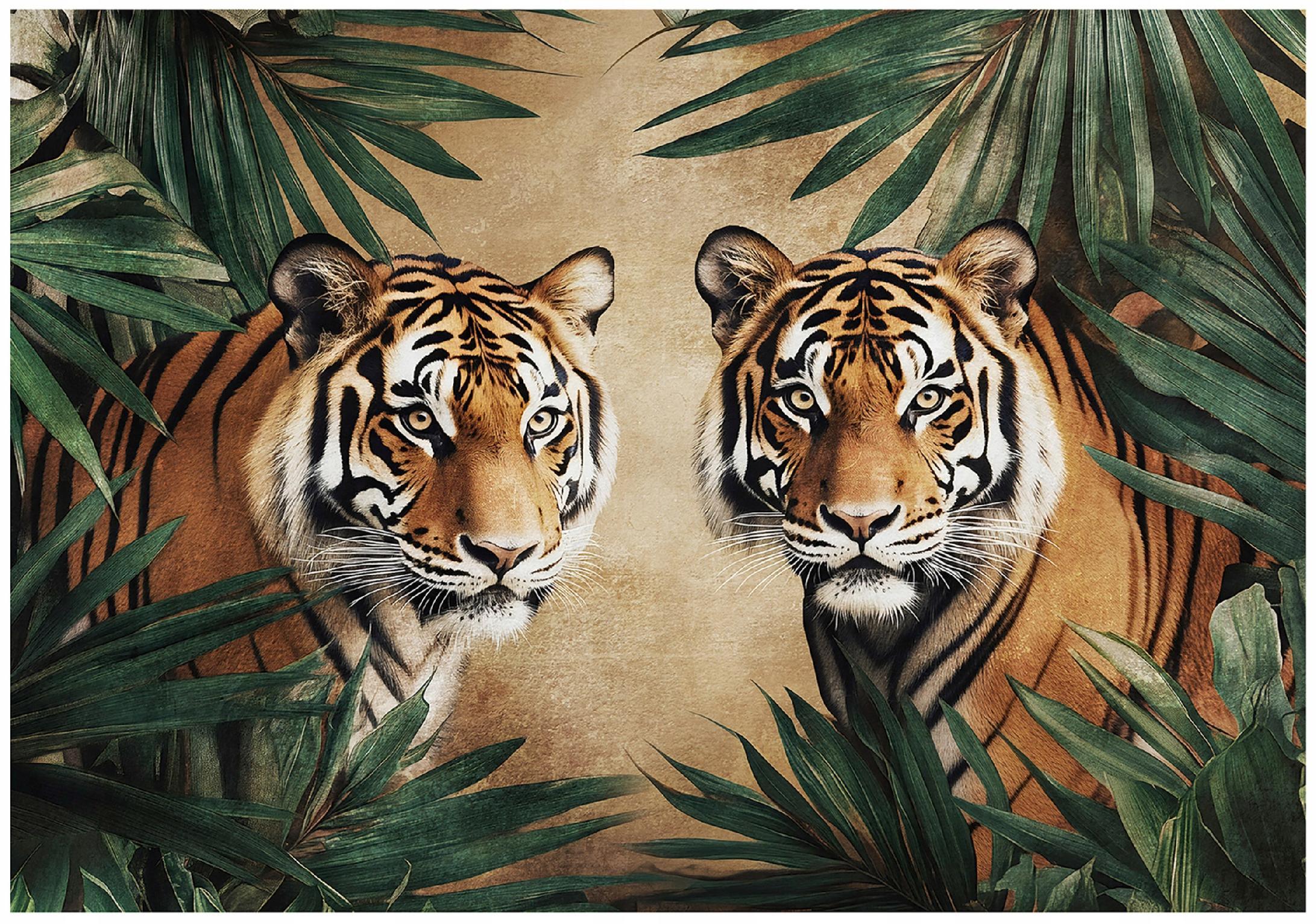 FOTOTAPETE Tiger Tiere Braun 416x254 cm - Multicolor, Papier (416/254cm) - Wallarena