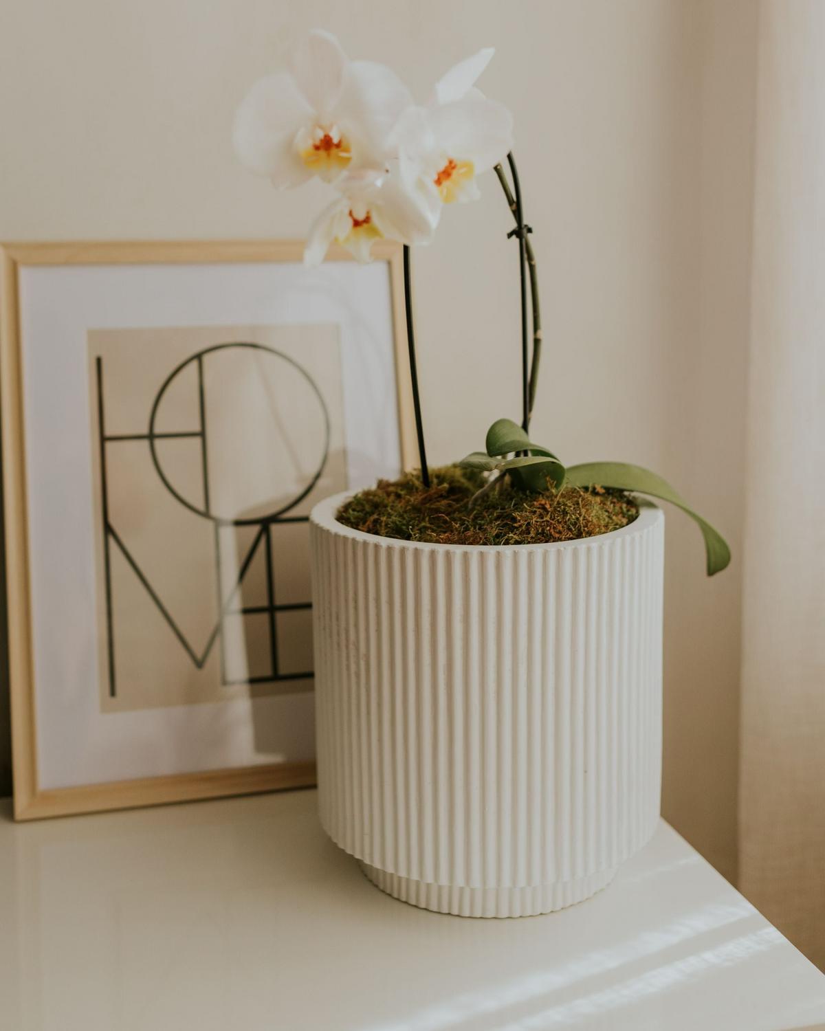 BLUMENTOPF cremeweiß rund 24/24/24 cm Daria - Weiß, Naturmaterialen (24cm) - Beliani