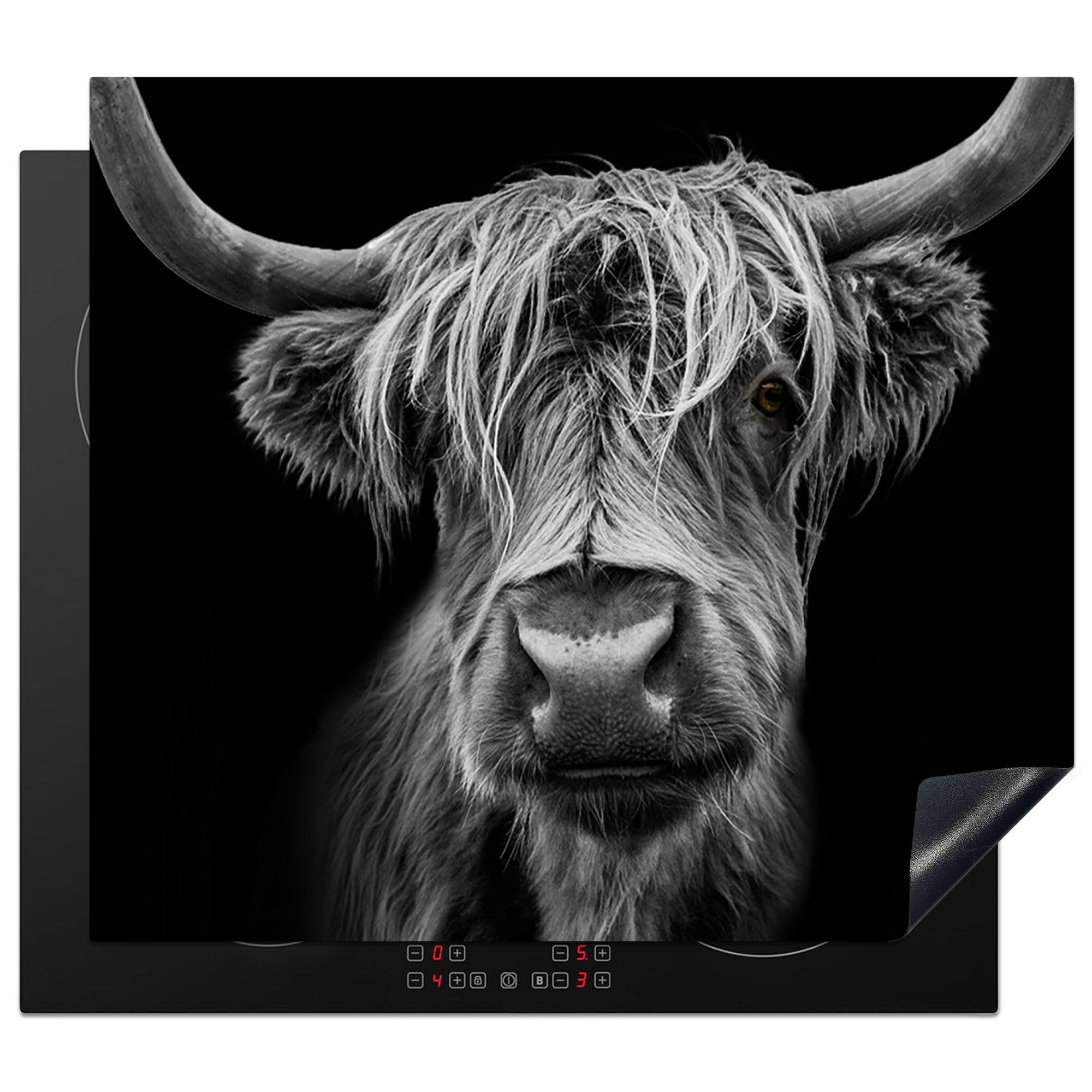 HERDABDECKPLATTE Schottischer Highlander - Hörner - Schwarz - Weiß - Kuh - Wild - Tiere Ceranfeldabdeckung 59x52 cm - Schwarz, Kunststoff (59/52/0.2cm) - MuchoWow