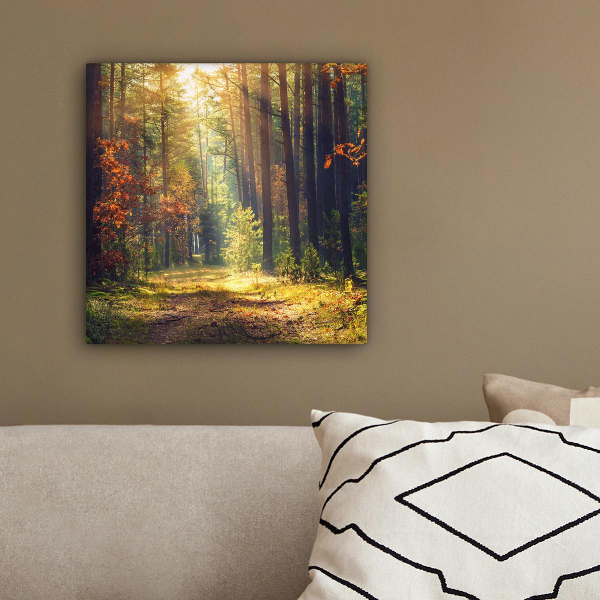 LEINWANDBILD Wald - Herbst - Bäume Deko Wohnzimmer 20x20 cm - Dunkelgrün, Textil (20/20cm) - MuchoWow