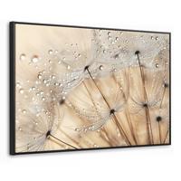 LEINWAND Bilder mit Rahmen - Löwenzahn - Abstrakt - Natur - Beige - 150x100 - Braun, Textil (150/100cm) - MuchoWow