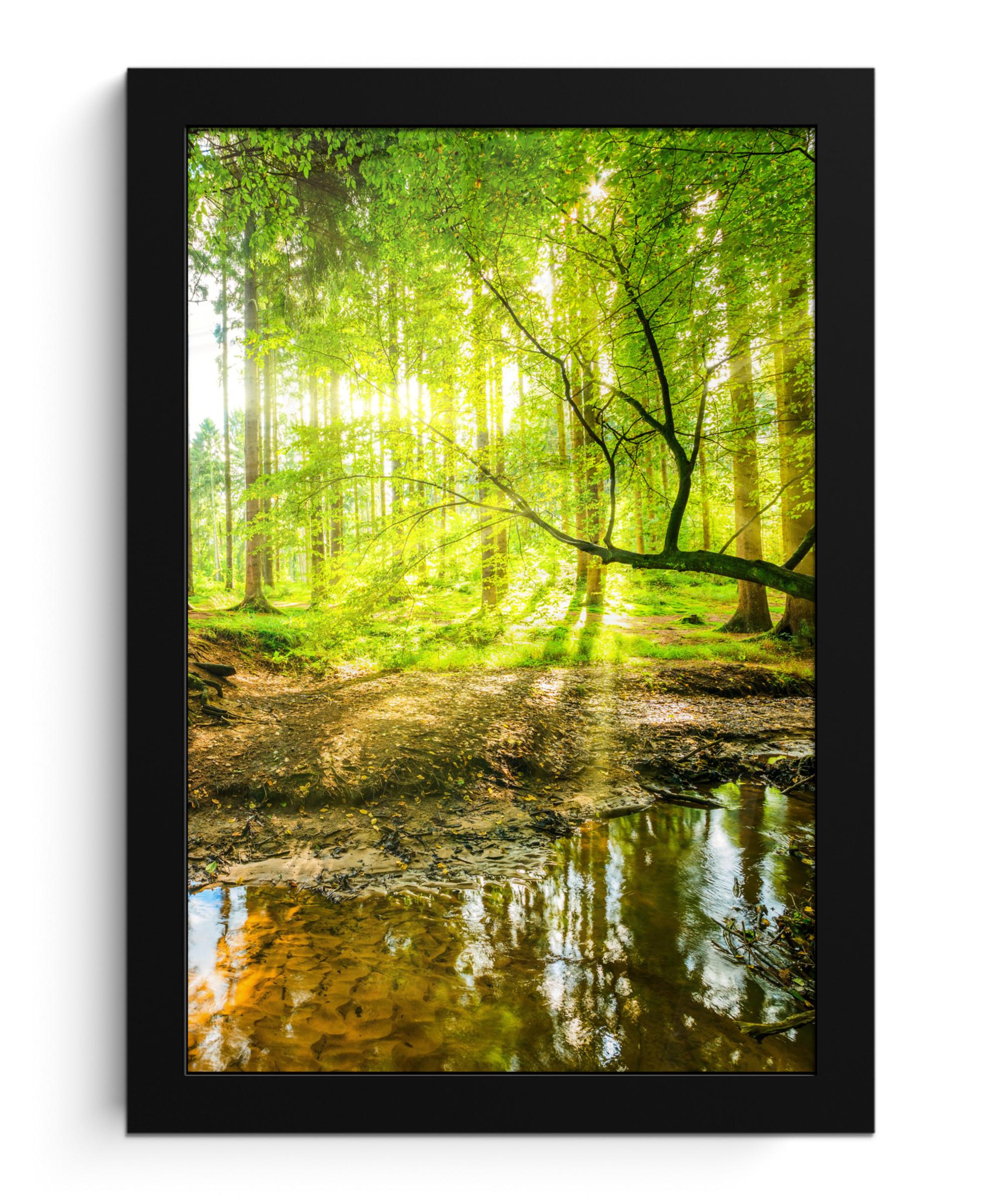 POSTER MIT RAHMENGERAHMTES BILD Wald - Landschaft - Wasser - Bäume - Sonne - Grün - Natur Poster 20x30 cm - Grün, Papier (20/30cm) - MuchoWow