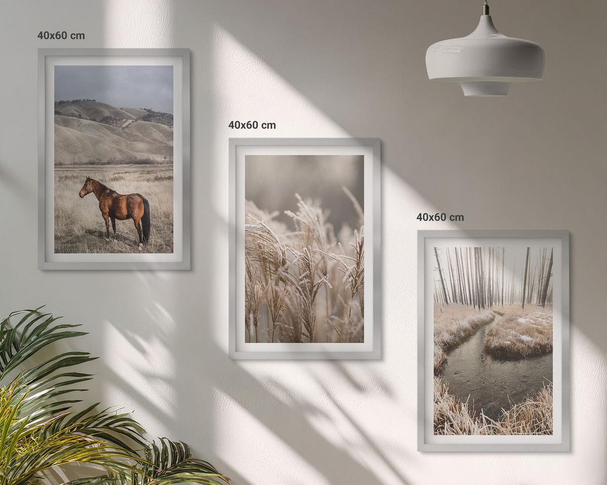 BILDER SET 3er Set - 40x60 cm Silberner Rahmen - Pferde, Landschaft, Gras, Bach - Silberfarben, Kunststoff (40/60cm) - TULUP