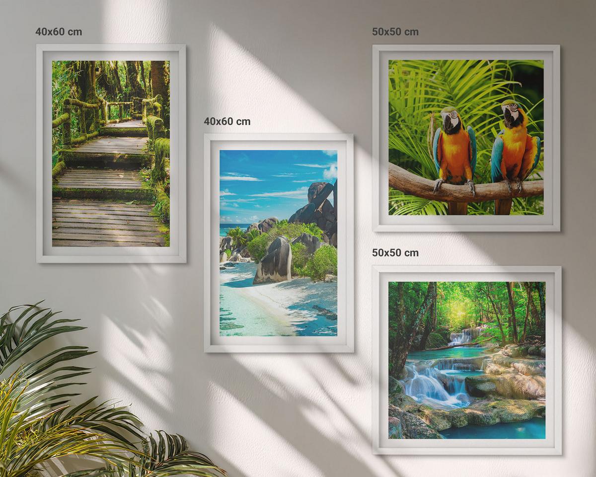 BILDER SET 4er Set - 50x50 cm & 40x60 cm Weißer Rahmen - Tropischer Wald Papageienwasserfall - Weiß, Kunststoff (50/50cm) - TULUP
