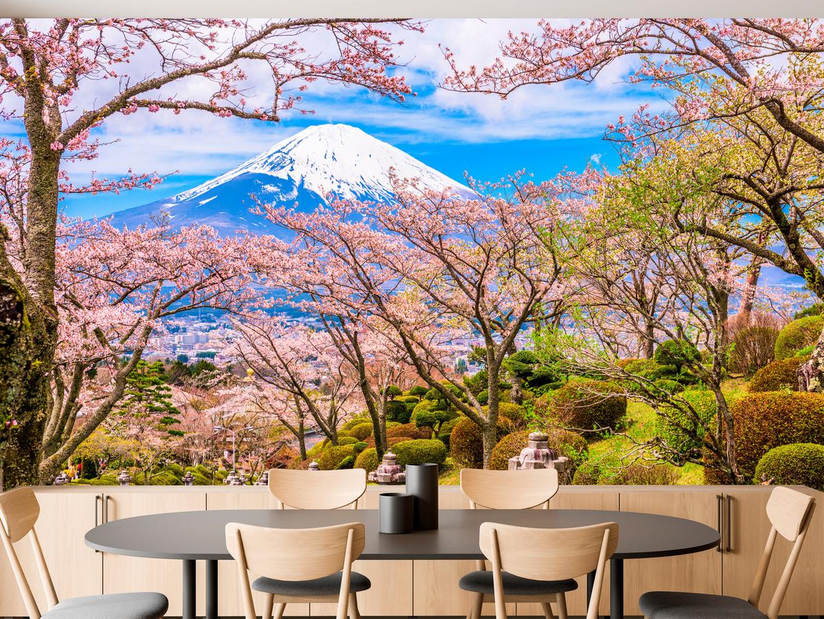 FOTOTAPETE für Wohnzimmer Peace Park Fuji View Kirschblüten 500x350 - Rosa/Braun, Papier (500/350cm) - Muralo