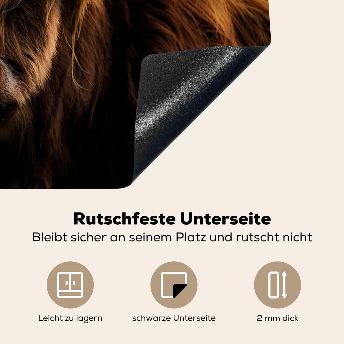 HERDABDECKPLATTE Schottischer Highlander - Hörner - Schwarz - Tiere - Natur - Wild - Kuh Herdabdeckung Induktionsfeld 65x52 cm - Cognac, Kunststoff (65/52/0.2cm) - MuchoWow