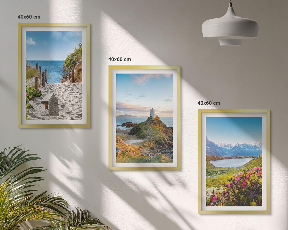 BILDER SET 3er Set - 40x60 cm Goldrahmen - Strand, Leuchtturm, Berge, Blumen - Goldfarben, Kunststoff (40/60cm) - TULUP