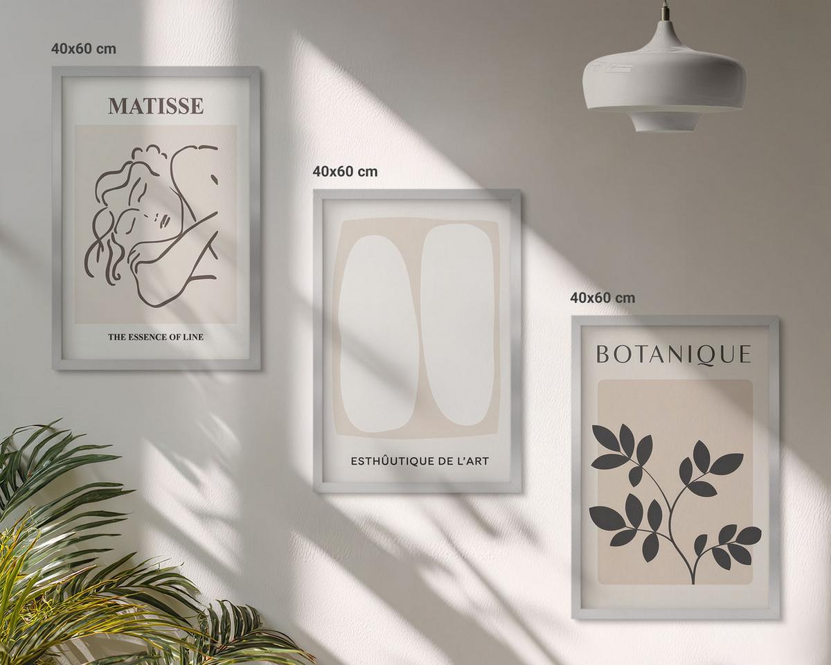 BILDER SET 3er Set - 40x60 cm Silberner Rahmen - Matisses stilvolle Pflanzenbilder - Silberfarben, Kunststoff (40/60cm) - TULUP