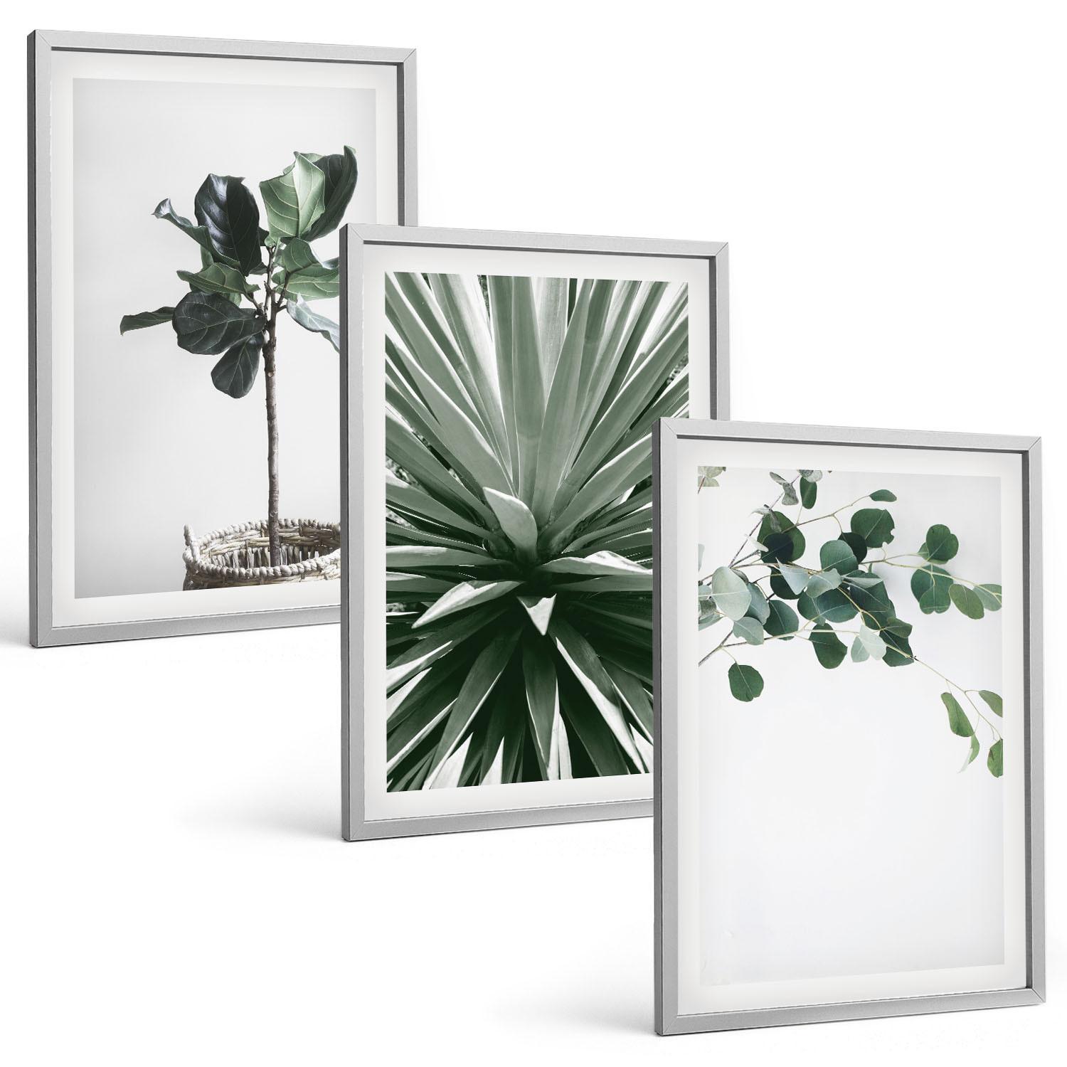 BILDER SET 3er Set - 40x60 cm Silberner Rahmen - Minimalismus mit grünen Pflanzen - Silberfarben, Kunststoff (40/60cm) - TULUP