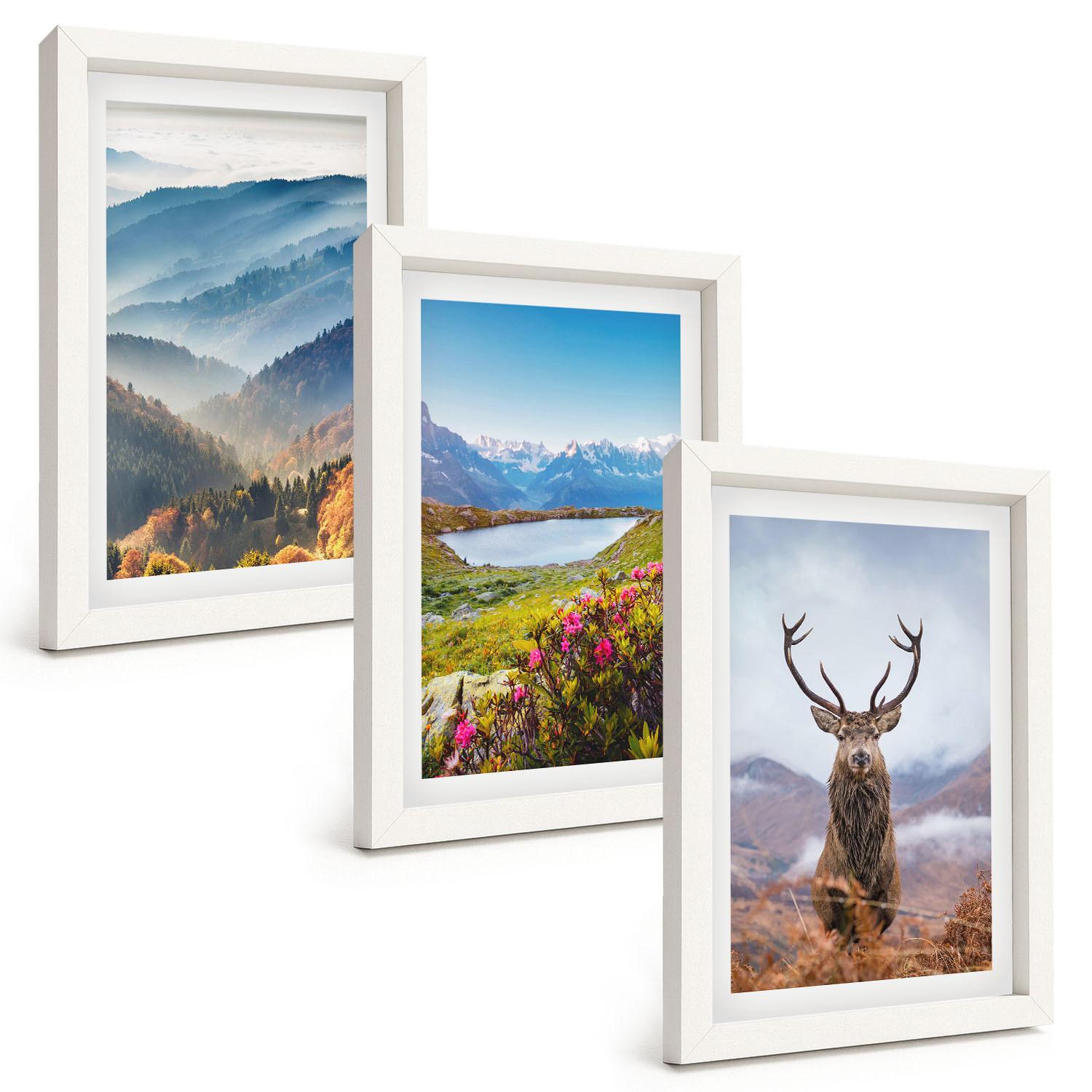 BILDER SET 3er Set - 20x30 cm Weißer Rahmen - Natur des Bergseehirsches - Weiß, Kunststoff (20/30cm) - TULUP
