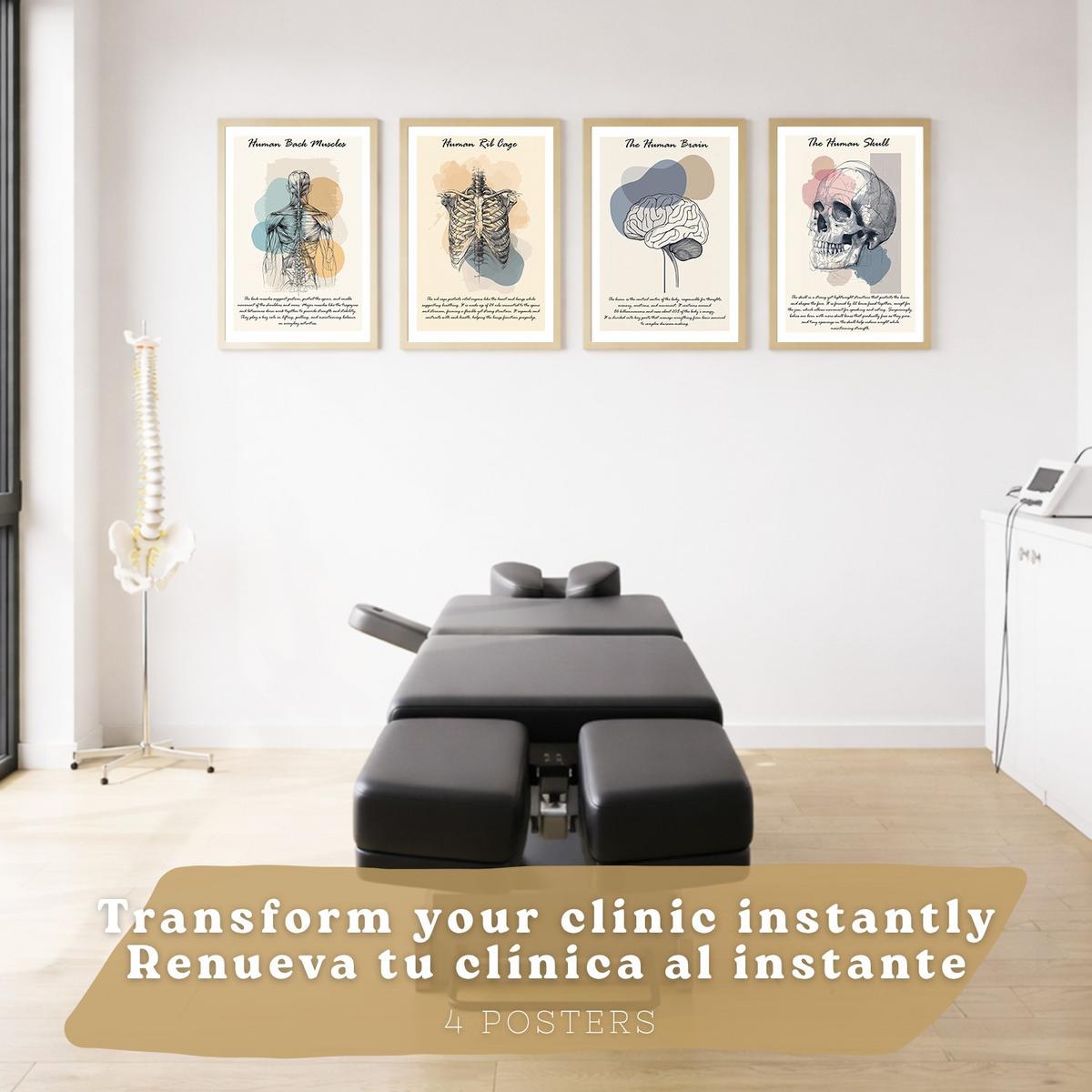 POSTER Set aus 4 Anatomie Mensch Lernposter Drucke und mit Muskeln Rücken Rippen Gehirn und Schädel Modernes Design Größe Leichter Holzrahmen A4 - Beige, Papier (21/29.7/3cm) - Nacnic